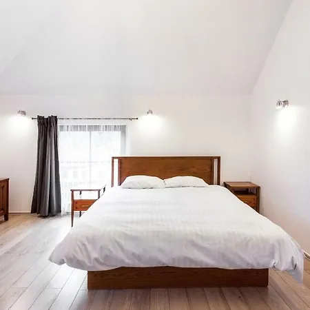 Classical Heart Of Old Town - Free Parking * Wilna